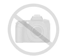Dėklas TelForceone "iPhone 12" / "12 Pro" 1,5 mm korpusas su apsauga nuo smūgių 6,1 skaidrus