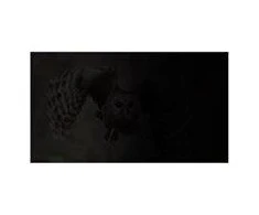 NATEC NFP-1474 privatumo filtras RODO OWL 14 colių 16:9
