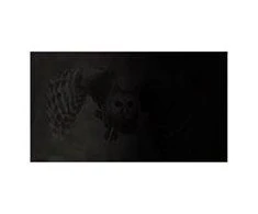 NATEC NFP-1475 privatumo filtras RODO OWL 15.6" 16:9