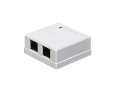 NETRACK 106-21 Netrack sukomplektuotas ant paviršiaus montuojamas lizdas 2xRJ45 8p8c UTP Cat6 LSA