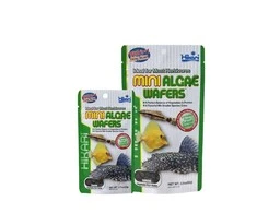 Hikari Mini Algae wafers 22g