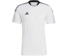 Marškinėliai vyrams Adidas Tiro 21 Training Jersey M GM7590, balti
