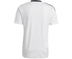 Marškinėliai vyrams Adidas Tiro 21 Training Jersey M GM7590, balti
