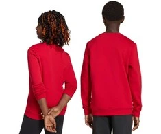 Bluza vaikams adidas Entrada 26 Sweat Top raudona JZ6556 (152cm)