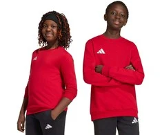 Bluza vaikams adidas Entrada 26 Sweat Top raudona JZ6556 (116cm)
