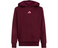Bluza vaikams adidas Essentials Hoodie bordinė KT3380 (128cm)