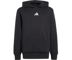 Bluza vaikams adidas Essentials Hoodie juoda JC9772 (152cm)