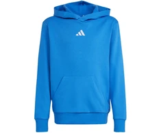 Bluza vaikams adidas Essentials Hoodie mėlyna KD3382 (176cm)