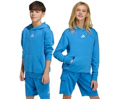 Bluza vaikams adidas Essentials Hoodie mėlyna KD3382 (176cm)