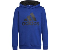 Adidas Big Logo Essentials Hoody Jr HN1912 džemperis