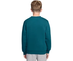 Bluza vaikams Nike Sportswear Club Fleece žalia FD3006 372 (XL)