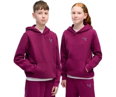 Bluza vaikams Puma ESS Elevated Hoodie FL fuksja 694701 41 (152cm)