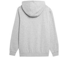 Megztinis 4F M H4L22-BLM352 27M
