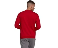 Vyriškas Džemperis adidas Entrada Raudonas HB0577 XL