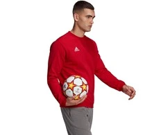Vyriškas Džemperis adidas Entrada Raudonas HB0577 XL