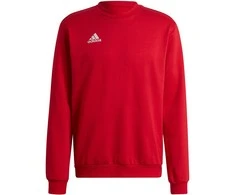 Vyriškas Džemperis adidas Entrada Raudonas HB0577 XL