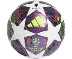 Futbolo kamuolys adidas UCL 25/26 Final Pro Sala violetinė-balta JX9102 (FUTS)