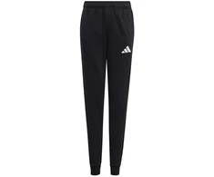 Kelnės vaikams adidas Entrada 26 Sweat Pants juoda JZ9136 (116cm)