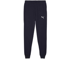 Kelnės vyrams Puma Team Goal Casuals tamsiai mėlyna 658598 06 (S)