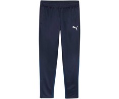 Carruzzo PUMA teamGOAL Kištukinis Mėlyna Poliesteris