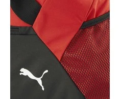 Krepšys Puma Team Goal M raudona 90233 03