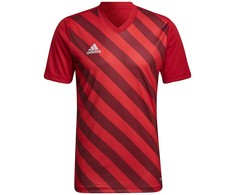 Adidas Entrada 22 grafiniai marškinėliai M HB0572