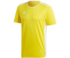 Adidas Entrada 18 Jsyy Jr CF1039 marškinėliai