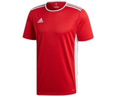 adidas Entrada 18 Jr CF1050 marškinėliai