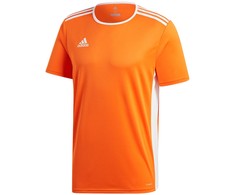 Adidas Entrada 18 JSY Y Jr CF1043 Marškinėliai