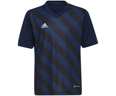 adidas Entrada 22 Grafinis Džersis Jr HF0122