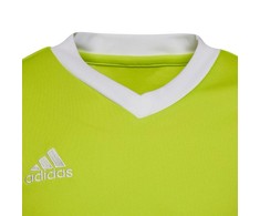 adidas Entrada 22 Marškinėliai Jr HC5079