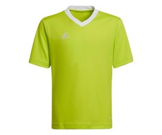 adidas Entrada 22 Marškinėliai Jr HC5079