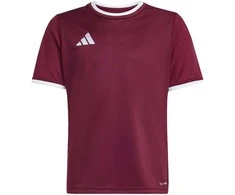 Marškinėliai vaikams adidas Entrada 26 Jersey bordinė JZ2530 (128cm)