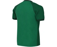 Marškinėliai vaikams Nike Dri-FIT Trophy VI žalia HV8158 302 (XS)