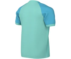 Marškinėliai vaikams Nike Dri-FIT Trophy VI miętowa HV8158 354 (L)
