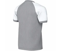 Marškinėliai vaikams Nike Dri-FIT Trophy VI pilka HV8158 012 (S)