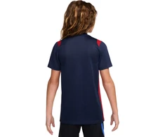 Marškinėliai vaikams Nike Paris Saint-Germain Academy Pro tamsiai mėlyna II1664 410 (L)