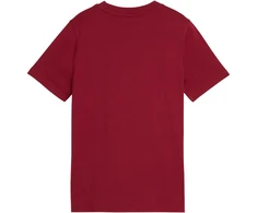 Marškinėliai vaikams Puma ESS Small No.1 Logo Centered Tee ruda 692975 23 (140cm)