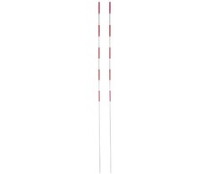 Netex tinklinio antenos 2vnt