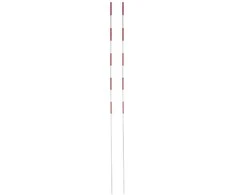 Netex tinklinio antenos 2vnt