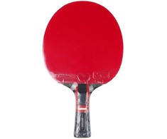 raketė stalo teniso Butterfly Dang Qiu DQX3