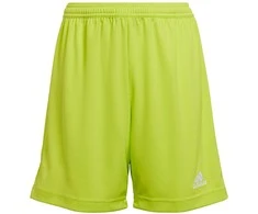 Šortai berniukams Adidas Entrada 22 Jr HC5065, žali