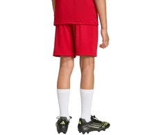 Šortai vaikams adidas Entrada 26 raudona JZ6528 (128cm)