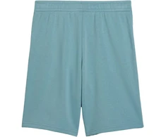Šortai vaikams Puma ESS Small No.1 Logo mėlyna 692974 47 (164cm)