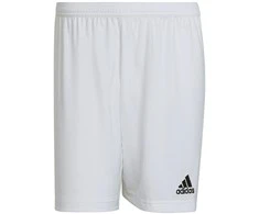Šortai vyrams Adidas Entrada 22 M HG6295, balti
