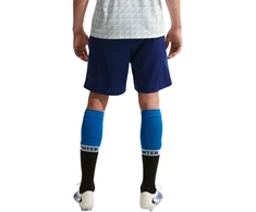 Šortai vyrams Nike Inter Milan Strike tamsiai mėlyna II2621 492 (L)