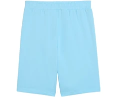 Šortai vyrams Puma ESS No.1 Logo 10" (s) jasnoniebieskie 682595 45 (L)