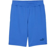 Šortai vyrams Puma ESS No.1 Logo 10" (s) mėlyna 682595 13 (M)