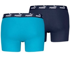 Trumpikės vyrams Puma Elements Basic 2P mėlyna,tamsiai mėlyna 938753 08 (L)
