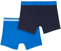 Trumpikės vyrams Puma Everyday Placed Logo 2 pak mėlyna, tamsiai mėlyna 938476 03 (XL)
